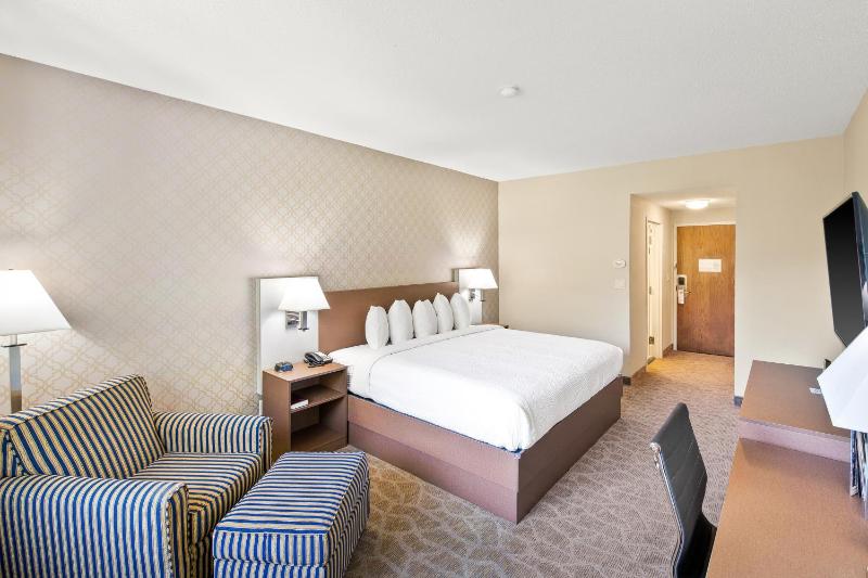 Deluxe King Room image 4