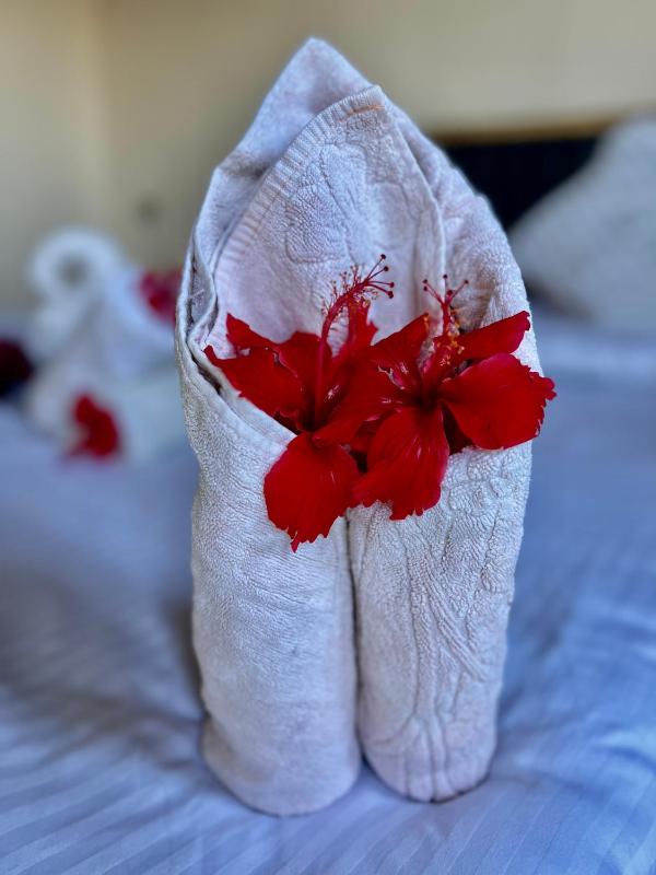 Three-Bedroom Apartment image 2