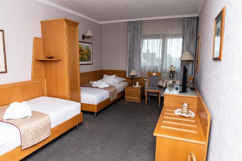 Standard Twin Room image 3