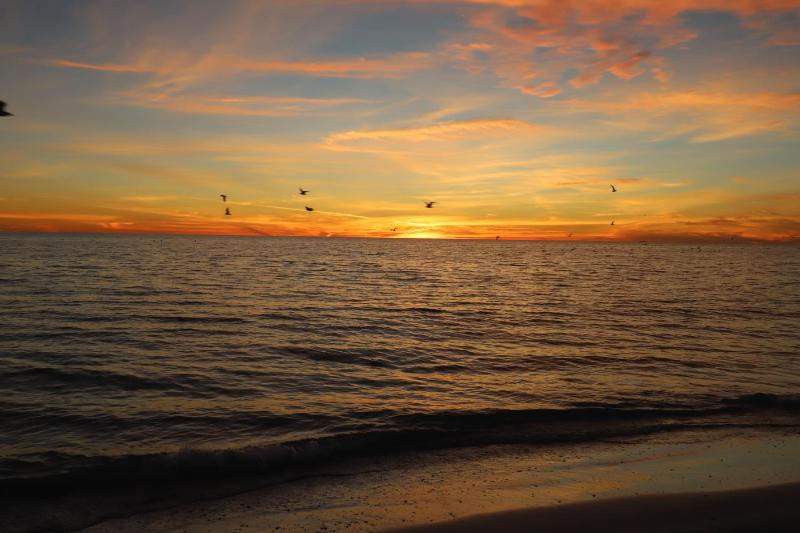 Spacious 1 bedroom 1 bath gulf side 200 steps to Crescent Beach sleeps 4 - image 9