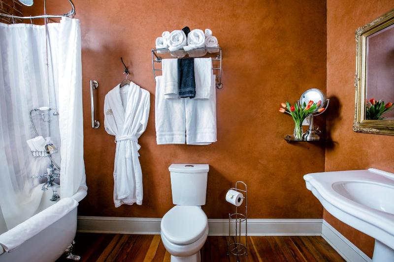 Deluxe King Suite image 3