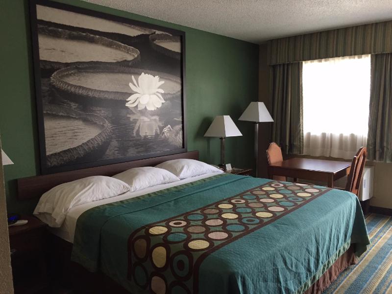 King Room - Non-Smoking image 1
