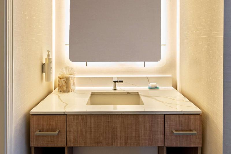 King Studio Suite image 2
