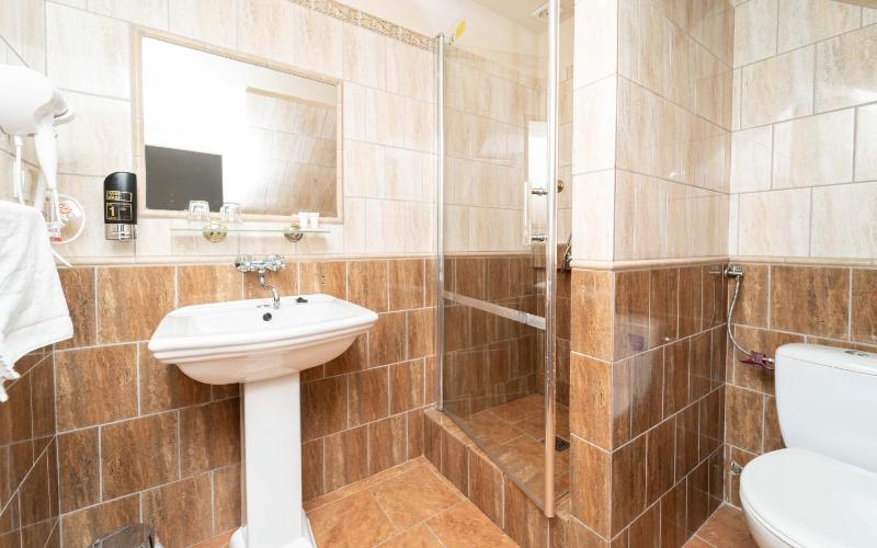 Double or Twin Room image 1