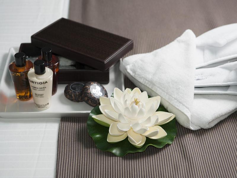 Deluxe Suite with Terrace image 4