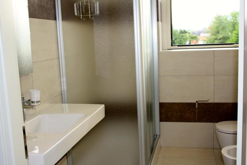 One-Bedroom Apartment image 4