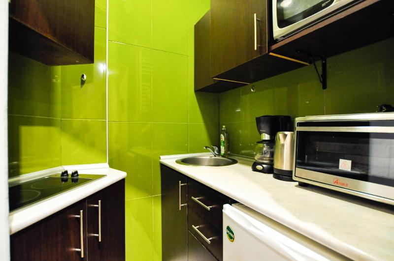 Heart of Belgrade Skadarlija Apartment - image 3