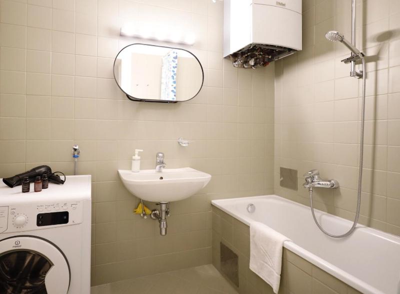 One-Bedroom Apartment image 4