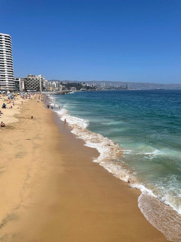 Departamento en primera línea del mar - image 8