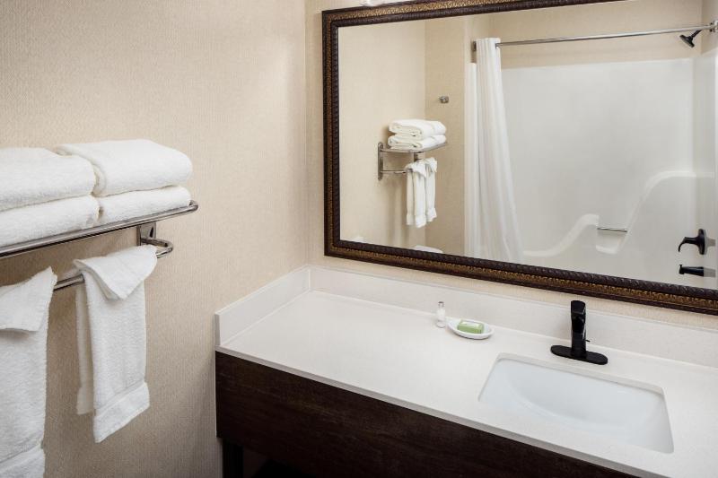 King Suite with Spa Bath image 4