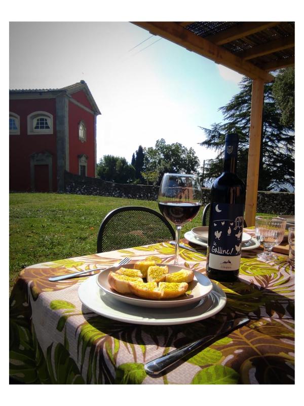 Agriturismo Villa Sardini - image 7