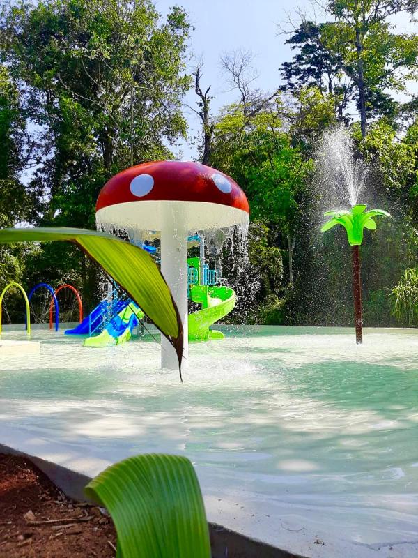 Rainforest Hotel & Cabañas - image 29