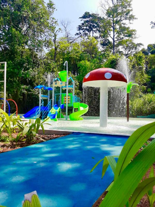 Rainforest Hotel & Cabañas - image 6