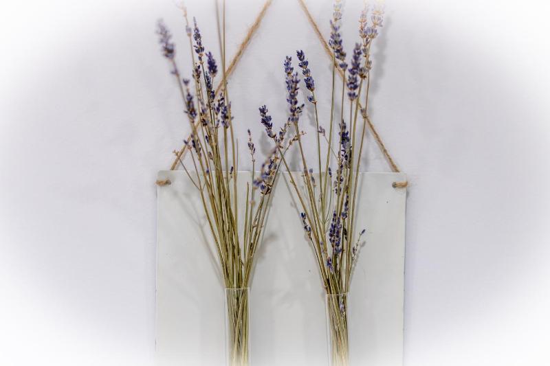 URBANFLORA - image 6