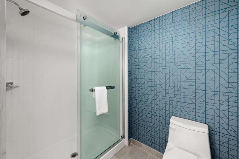 King Studio Suite image 2