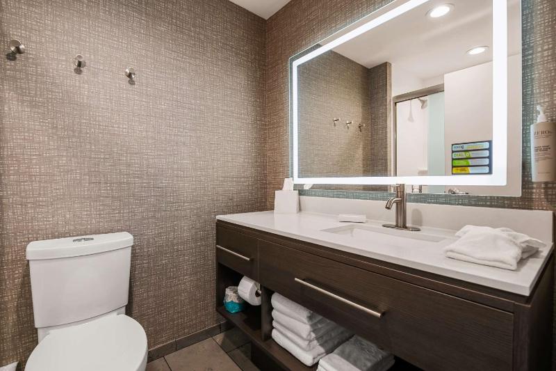 King Studio Suite image 4