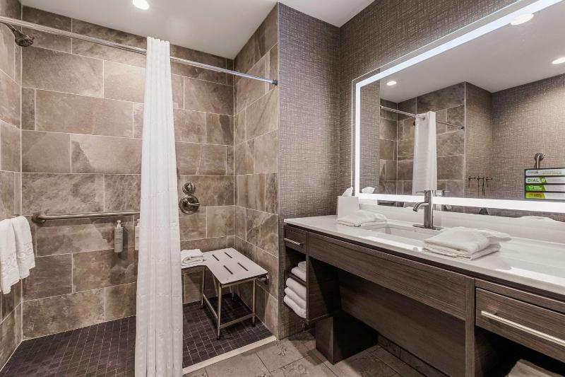 One-Bedroom King Suite image 1