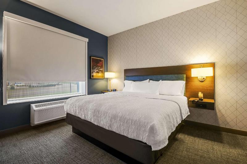 One-Bedroom King Suite image 4