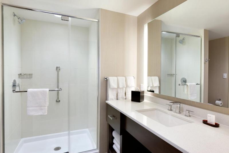 King Studio Suite image 3