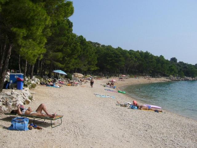 Holiday house with a parking space Drage Biograd - 21287 - image 4
