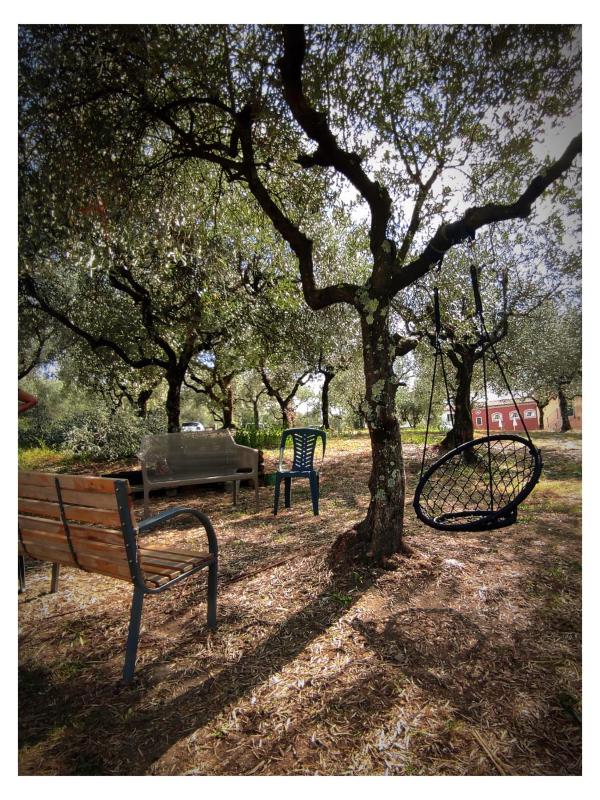 Agriturismo Villa Sardini - image 47