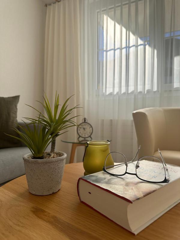 One-Bedroom Apartment image 1