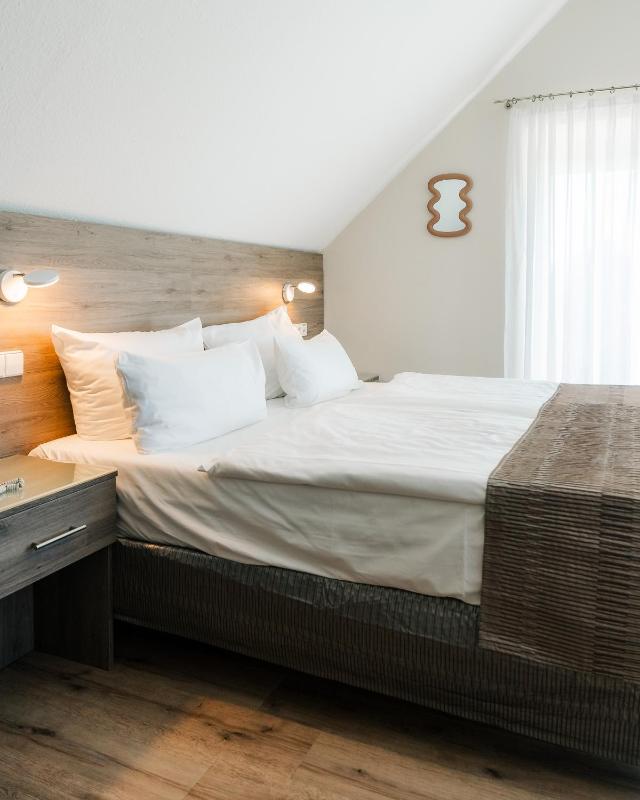 Business Double Room image 4