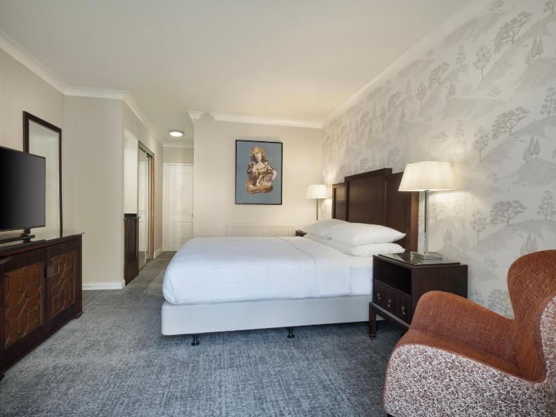 Deluxe King Room image 1