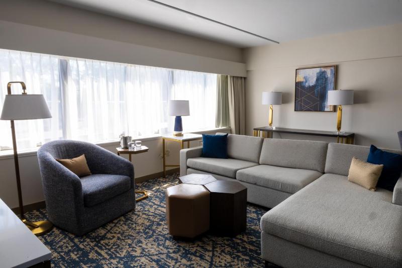 Junior King Suite with Seating Area image 4
