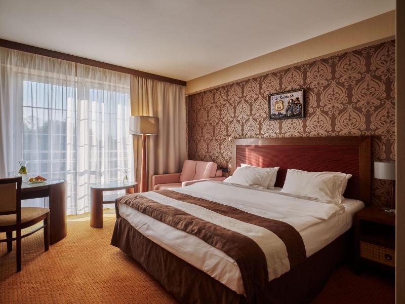 Deluxe King Room image 4
