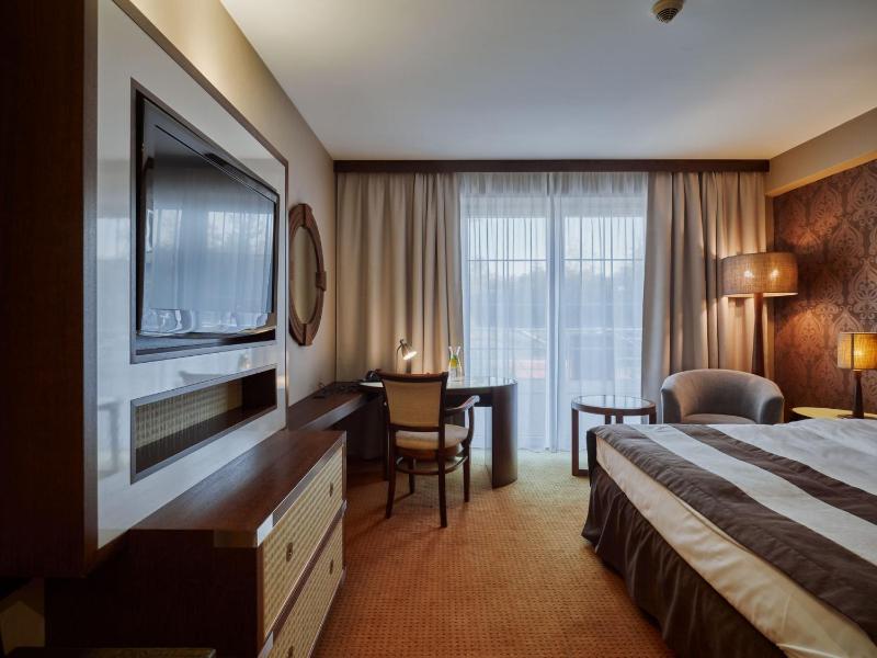 Deluxe King Room image 1