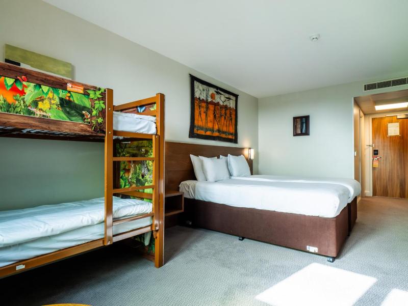 Safari Twin Room with Bunk Beds image 2