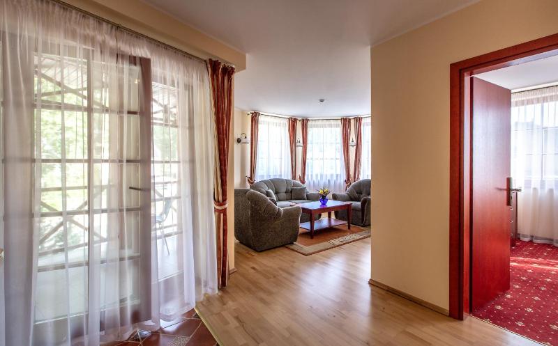 One-Bedroom Apartment with Balcony and SPA Access image 4