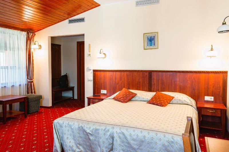 One-Bedroom Apartment with Balcony and SPA Access image 3