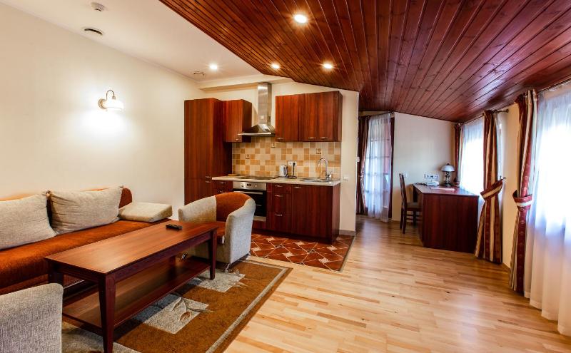 Two Bedroom Family Apartment with Balcony and SPA Access image 4