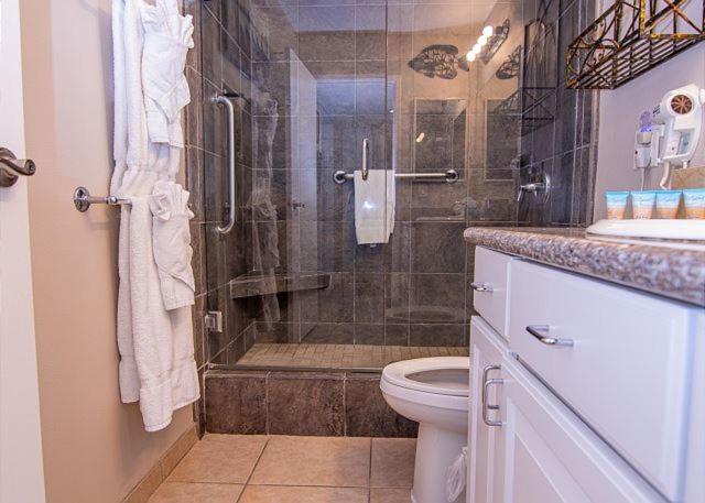 One-Bedroom Apartment image 2