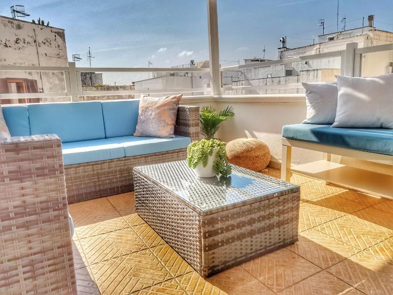 One-Bedroom Apartment with Terrace  image 4