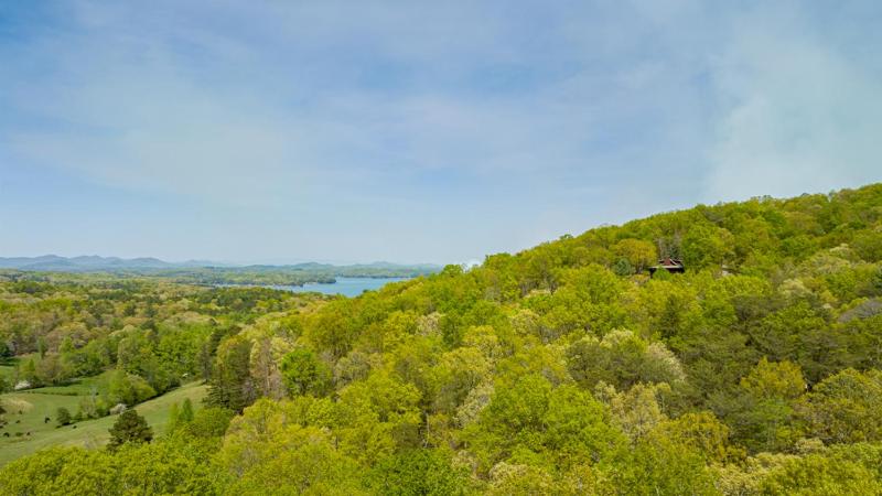 Adventure Us- Aska Area Lake Views Dog Friendly - image 14