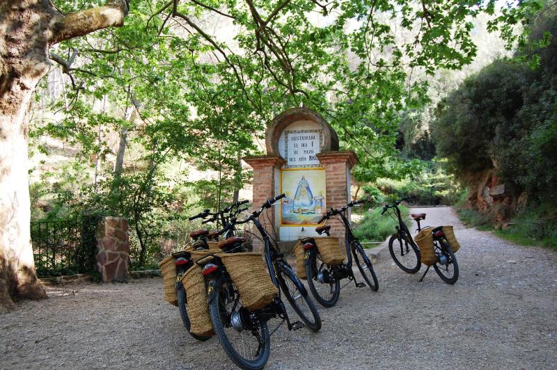 Four-Bedroom House image 2