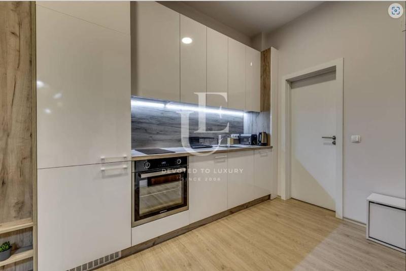Geneva: A charming patio studio with private parking! - image 5