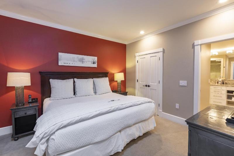 River Club 105 by Alpine Lodging Telluride - image 6