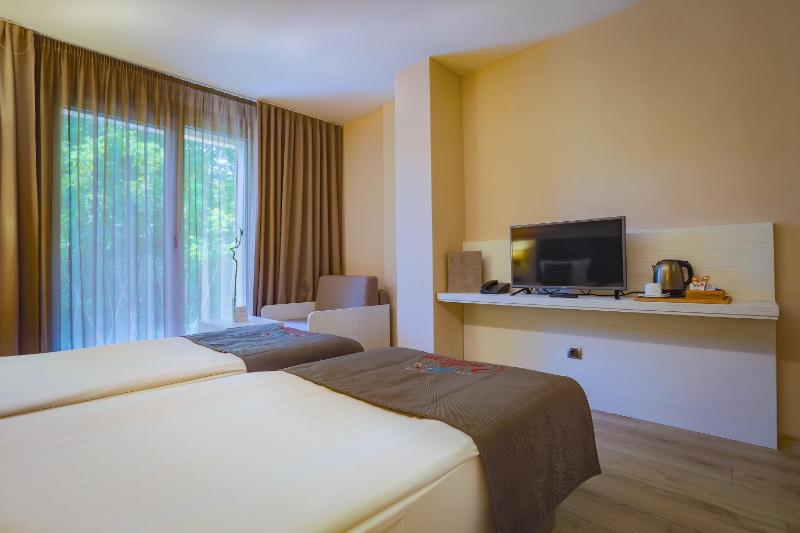Deluxe Double or Twin Room image 4