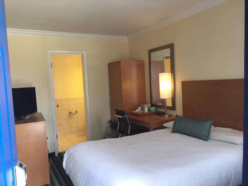 Surf Motel - image 5