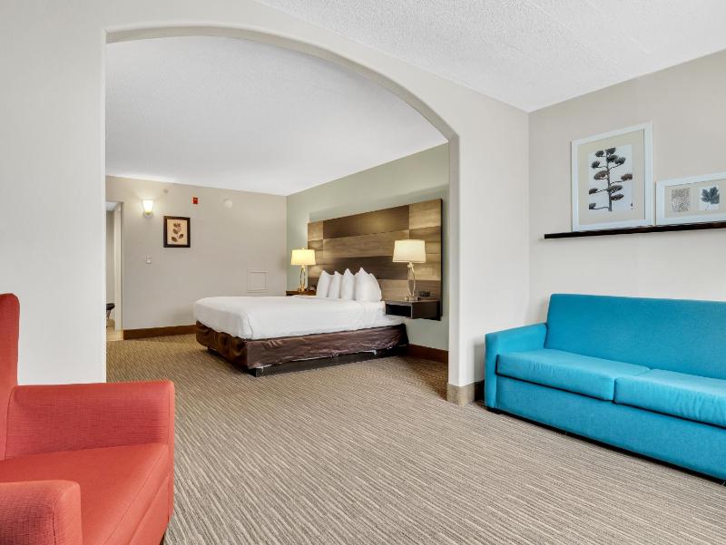 King Suite - Non-Smoking image 2