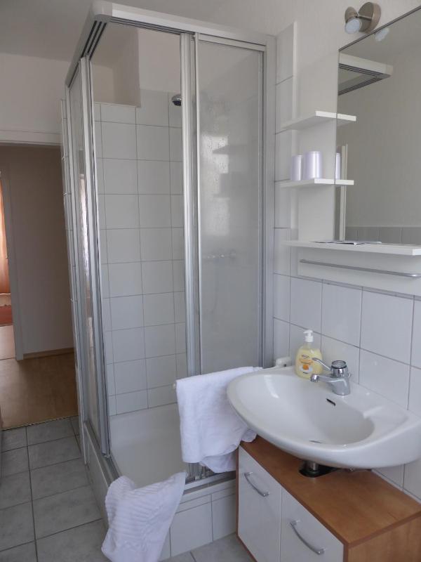 One-Bedroom Apartment image 3
