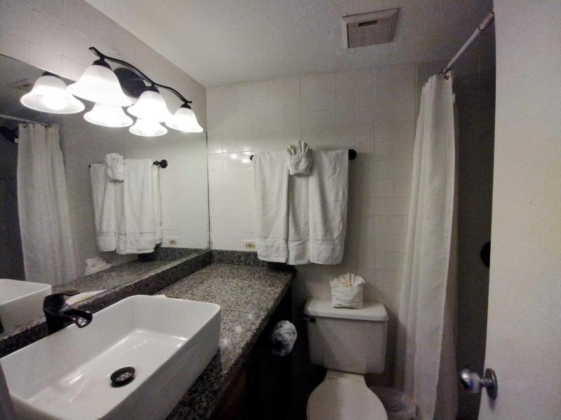 Landfall Towers 71 Condominium Condo - image 2