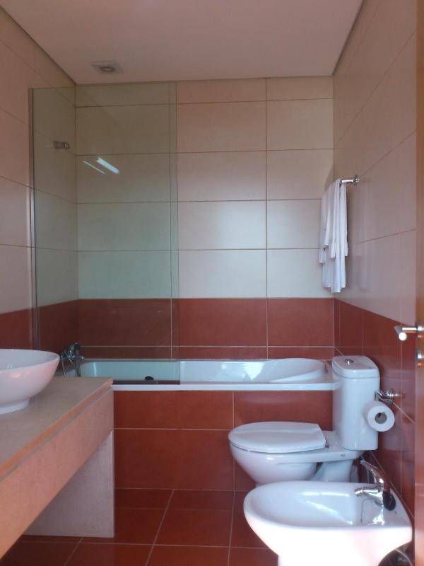 One-Bedroom Apartment image 3