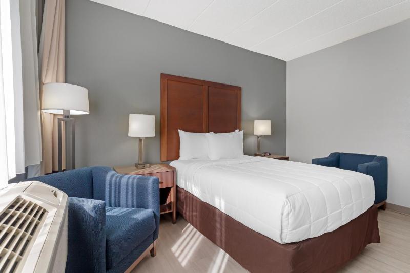 King Room - Accessible/Non-Smoking image 1