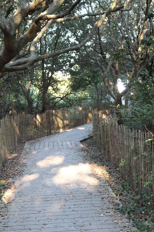 Fairbanks House with beach access just steps from your front door - image 5