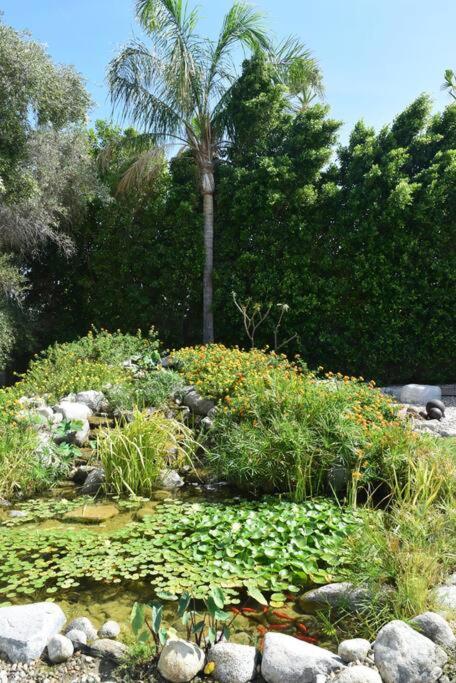 Live the Mid Mod Life at Mariposa Palms - image 48